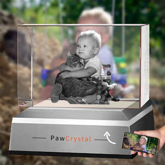 Why Choose PawCrystal to Customize Your 3D Crystal Photo